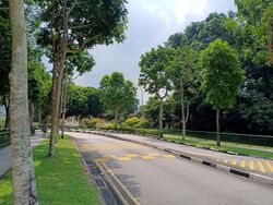 Blk 588A Montreal Spring (Sembawang), HDB 5 Rooms #588180511